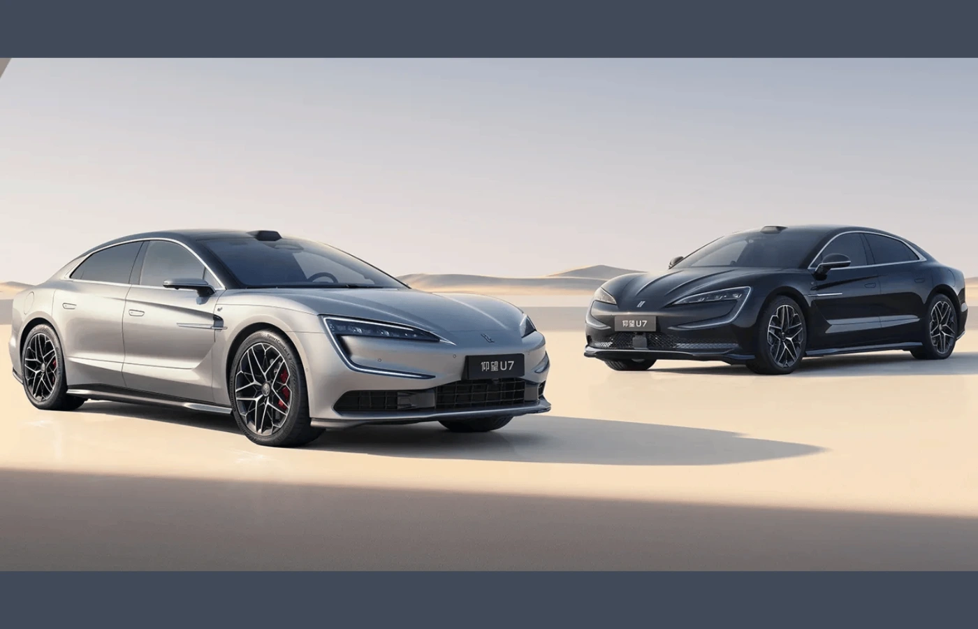 BYD NEVs