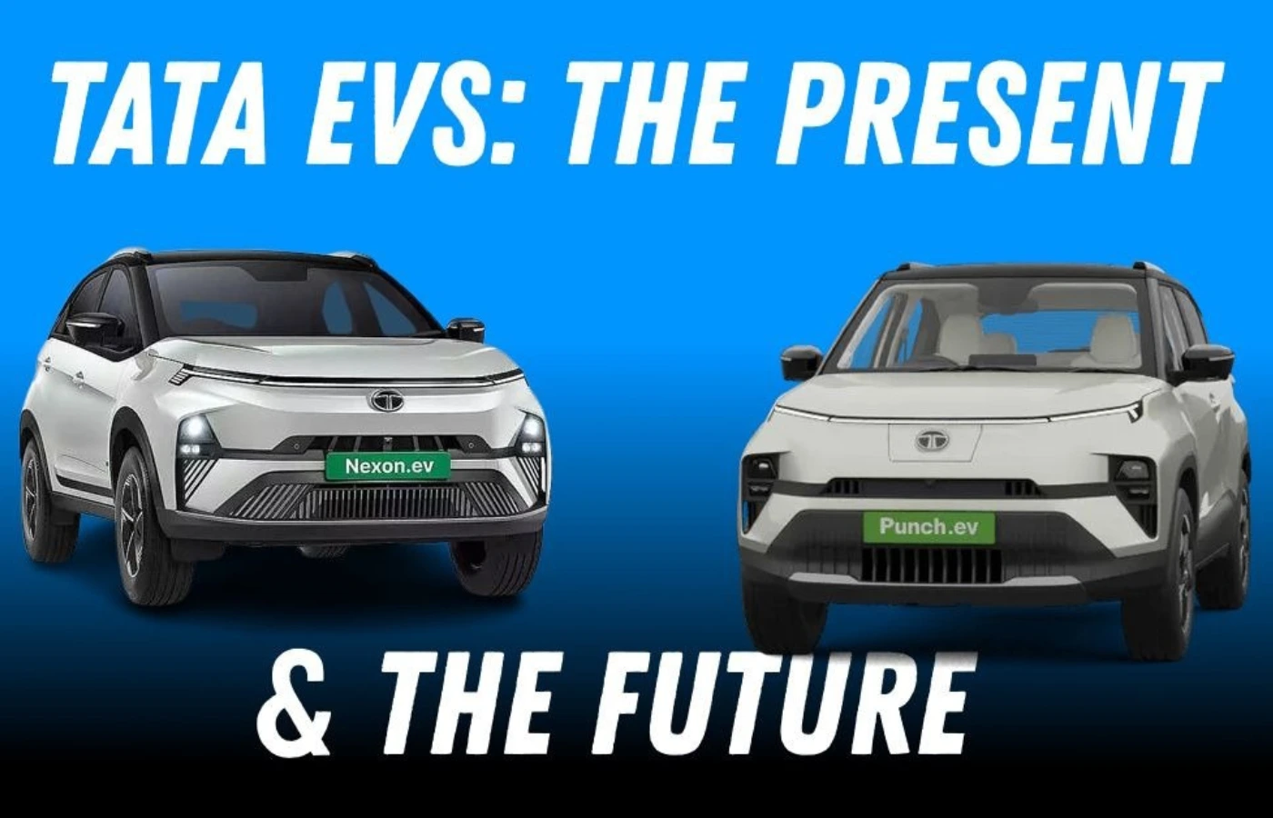 Tata Motors Leads October EV Sales | Beats MG and Mahindra